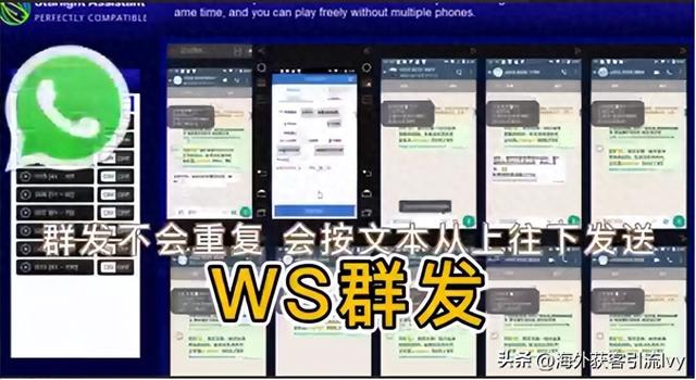 最全的whatsapp群发使用指南-1.jpg