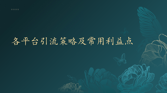 2024 十大平台私域引流全攻略及常用利益点解析-1.jpg