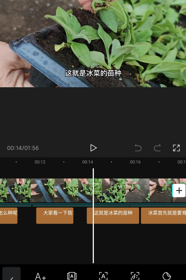 2分钟学会在今日头条发视频赚钱，一部手机就行，0粉丝就能赚钱-3.jpg