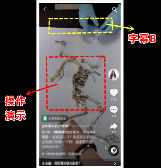 抖音网红老师入门指南-6.jpg